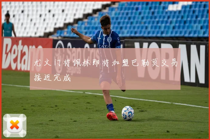 尤文门将佩林即将加盟巴勒莫交易接近完成